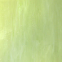 Glass Plate Tender Shoots