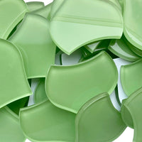 Grote Visschub Frisgroen