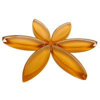 Medium Bloemblaadjes Mandarijn