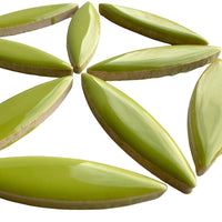 Mosaiksteinen Ellipse Kiwi