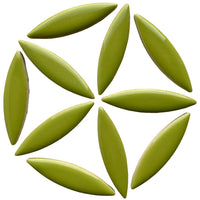 Mosaiksteinen Ellipse Kiwi