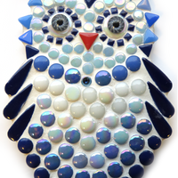 Little Owl Blue