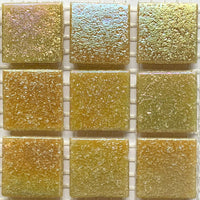 Verre Mosaique - glass mosaic -Glasmosaik-glasmozaïek-Glasmozaiek Iriserend 20mm Champagne - mosaicshop