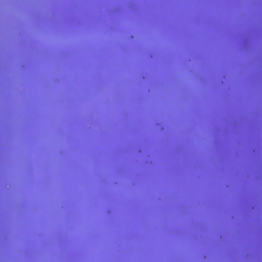 Glasplatte Immergrün