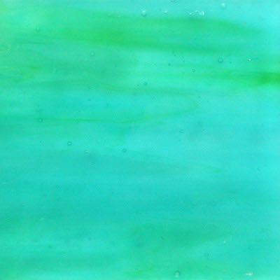 Glasplatte Papageienfisch