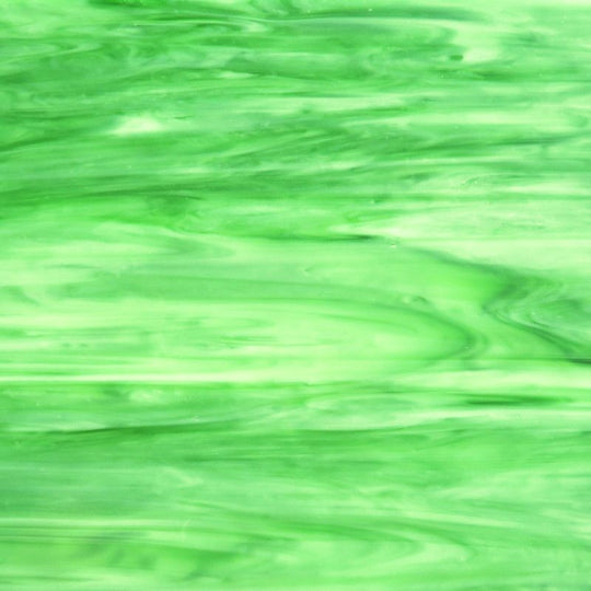 Plaque de Verre Sauterelle