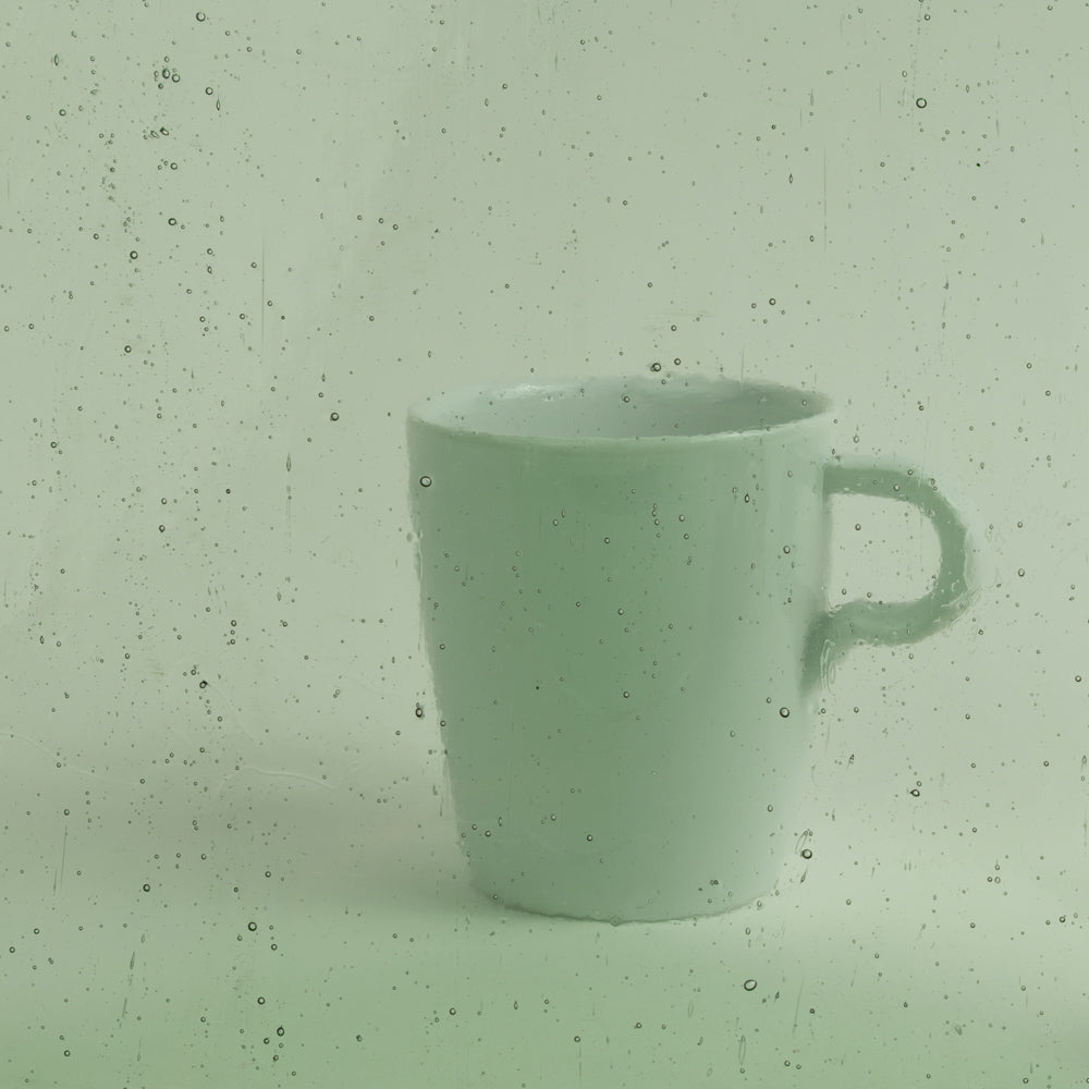Packshot Glass Plate– green – 15cmX19cm
