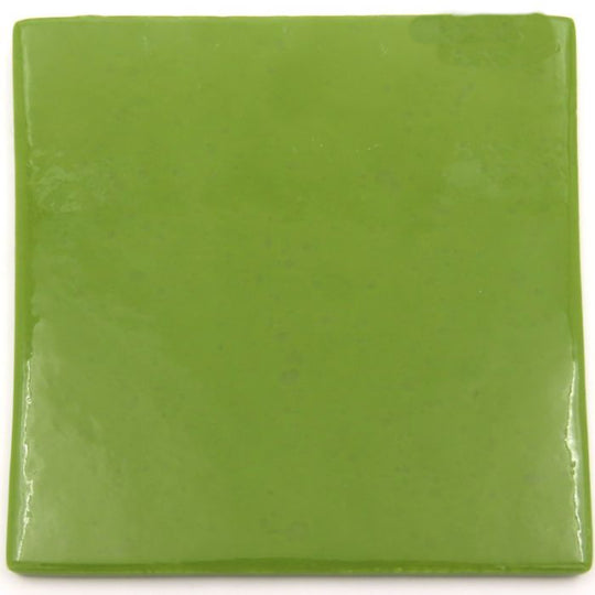 Morassutti Smalti Moss Green 3