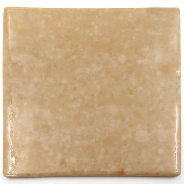 Morassutti Smalti Skin 4