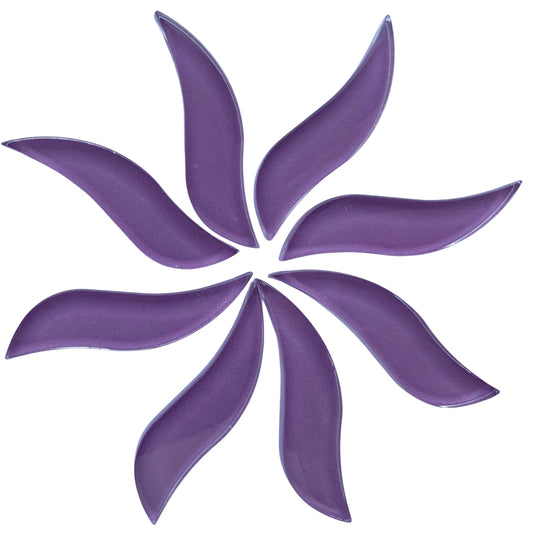 Golvende Bloemblaadjes  Orchidee