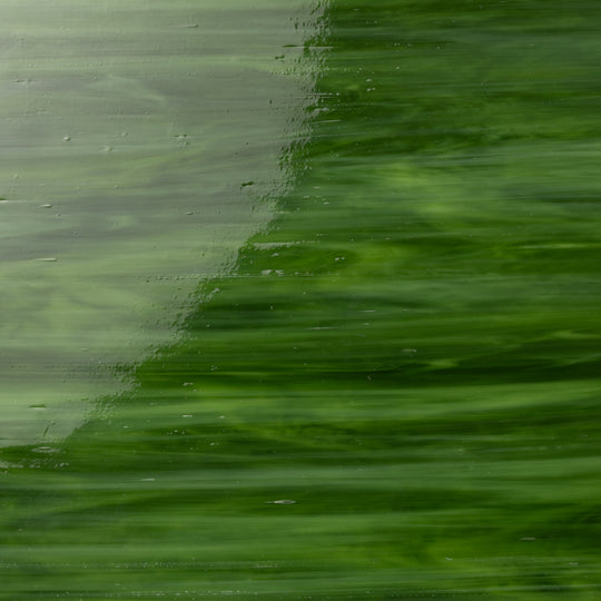 Glass Plate Olive Grove 