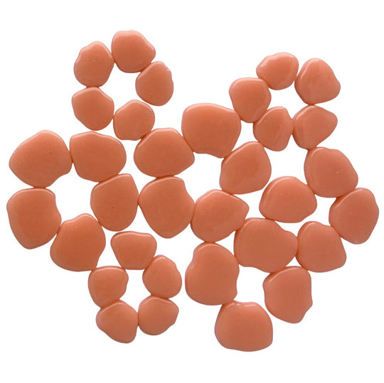 Sakura Blossom Aprikose