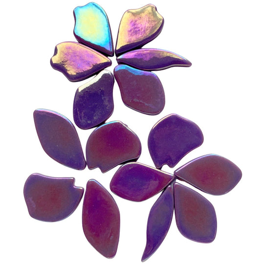 Gefallene Blütenblätter Perle  Magenta